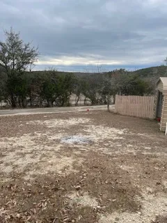 a view of a yard with large tree