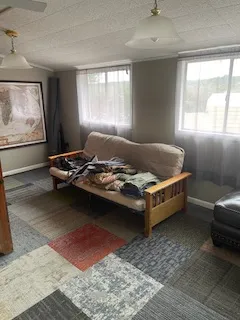 a room with furniture and a rug
