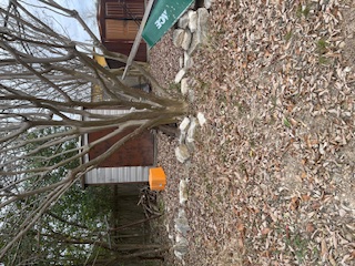 1516 South Ranchero Road South Kerrville, TX 78028 - Photo 10 of 16 a front view of a house with a yard