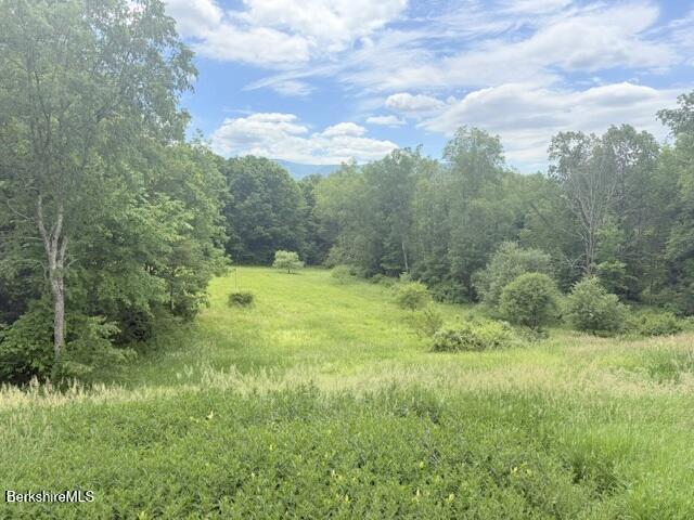 324 Oblong Road Williamstown, MA 01267 - Photo 39 of 42 Meadow view