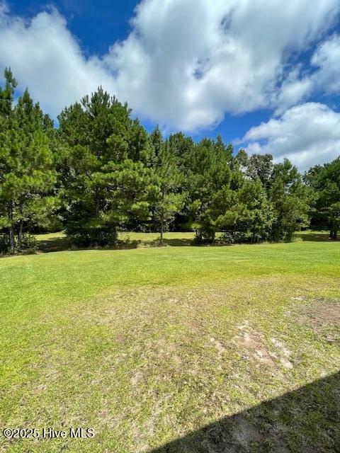 309 Russ Road Loris, SC 29569 - Photo 24 of 30 IMG_0549