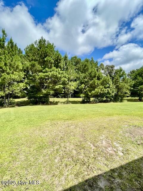 309 Russ Road Loris, SC 29569 - Photo 25 of 30 IMG_0549