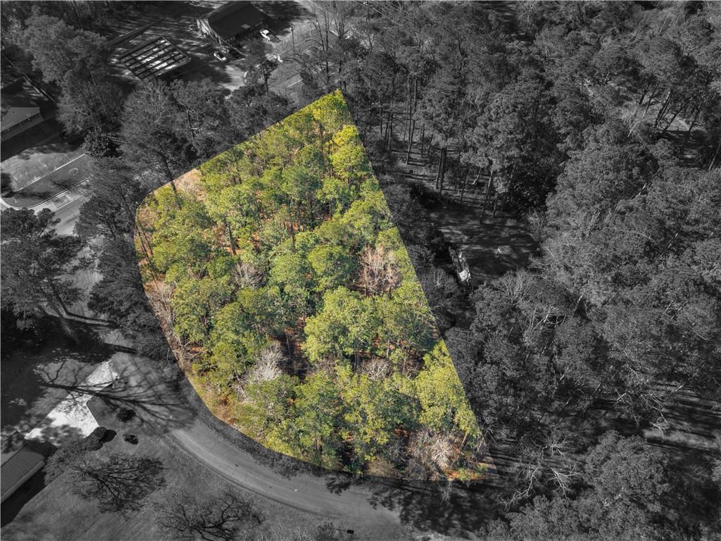 0 South Bay Jonesboro, GA 30236 - Photo 3 of 6 a view of a garden with plants