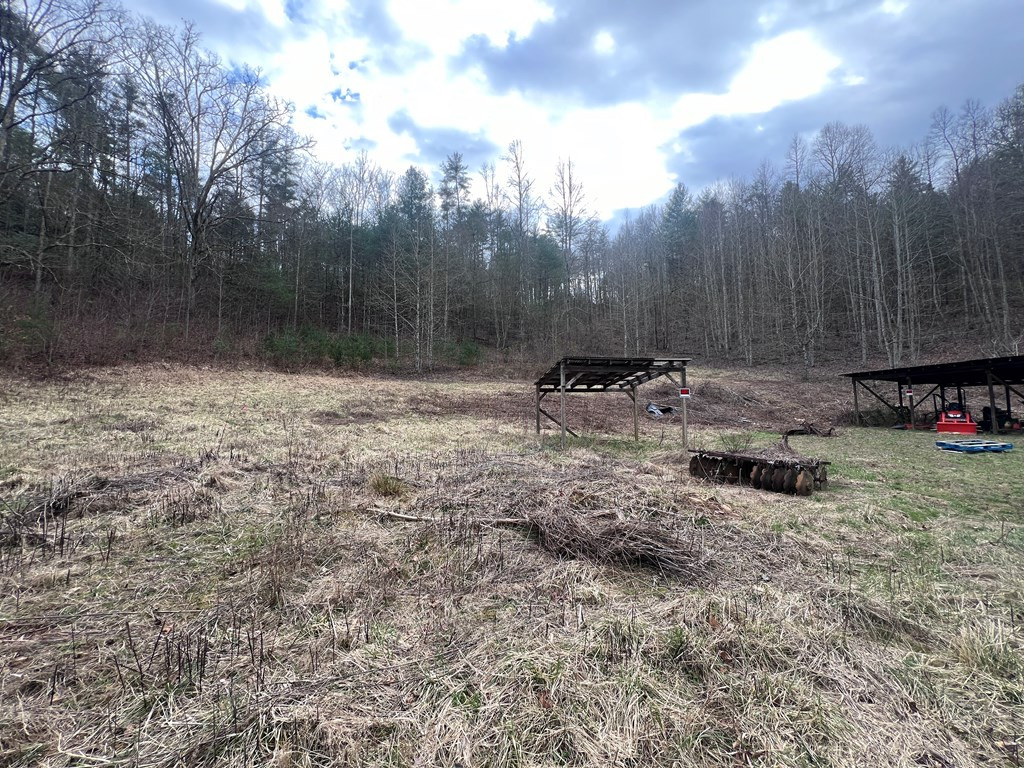 1-2 Graves Road Murphy, NC 28906 - Photo 9 of 12