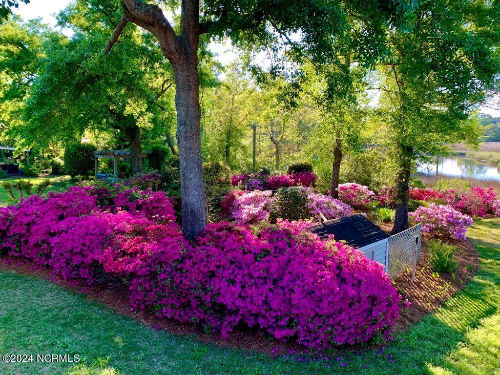 104 Drake Road Hampstead, NC 28443 - Photo 25 of 51 104 Drake Rd_18