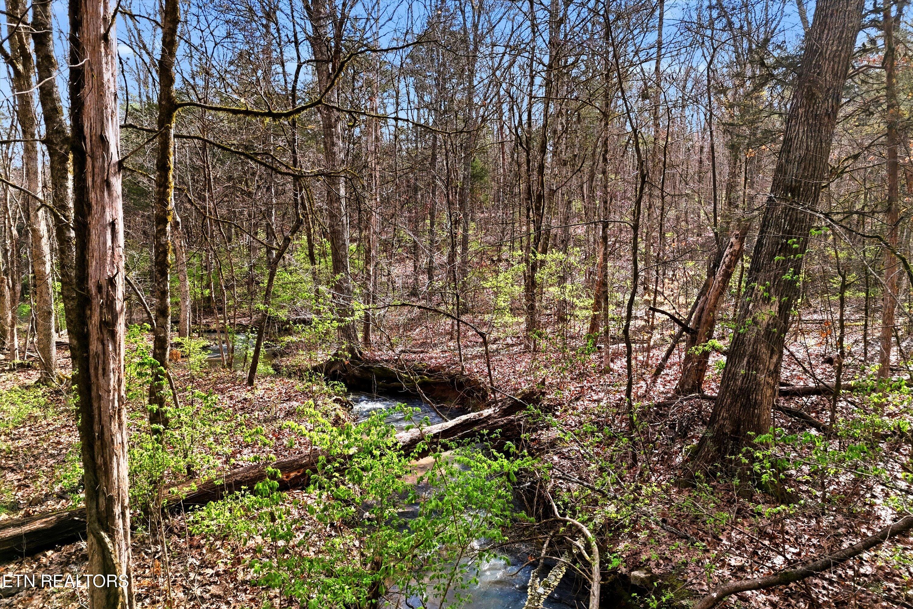 842 East Raccoon Valley Drive Heiskell, TN 37754 - Photo 4 of 17 24-842 E Raccoon Valley Dr-24