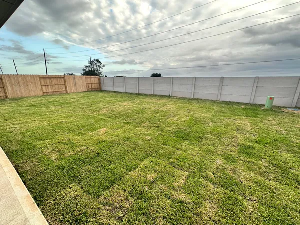 a view of a backyard
