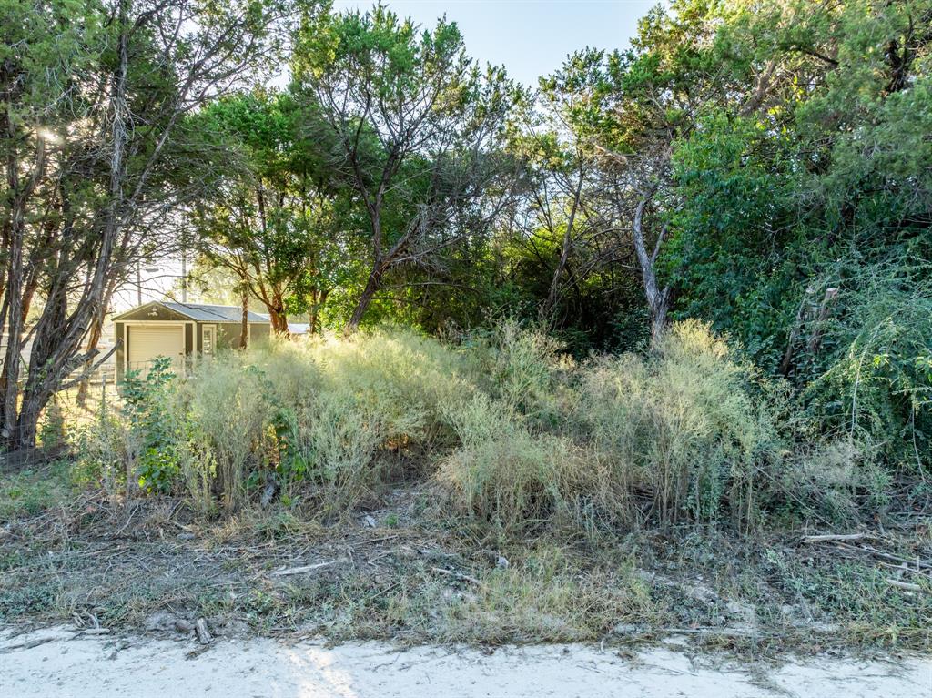 Tbd Cedar Drive Whitney, TX 76692 - Photo 6 of 13 a view of a forest filled with trees