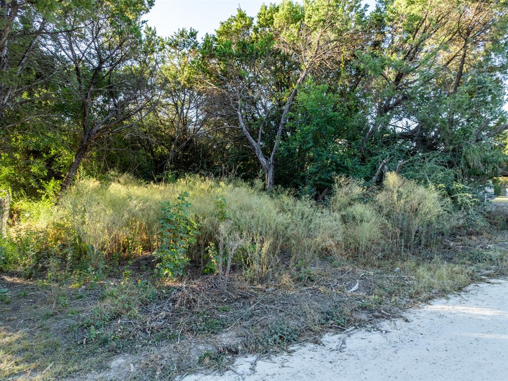 Tbd Cedar Drive Whitney, TX 76692 - Photo 7 of 13 a view of a forest with trees in the background