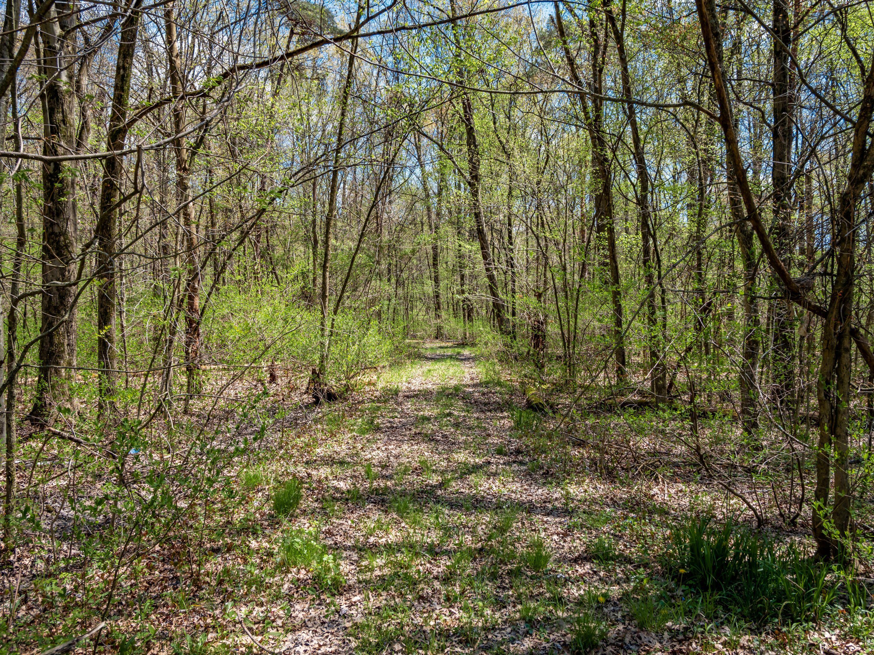 3773 Dixon Road Southwest Pataskala, OH 43062 - Photo 13 of 52 055_777_C - 3773 Dixon SW 119