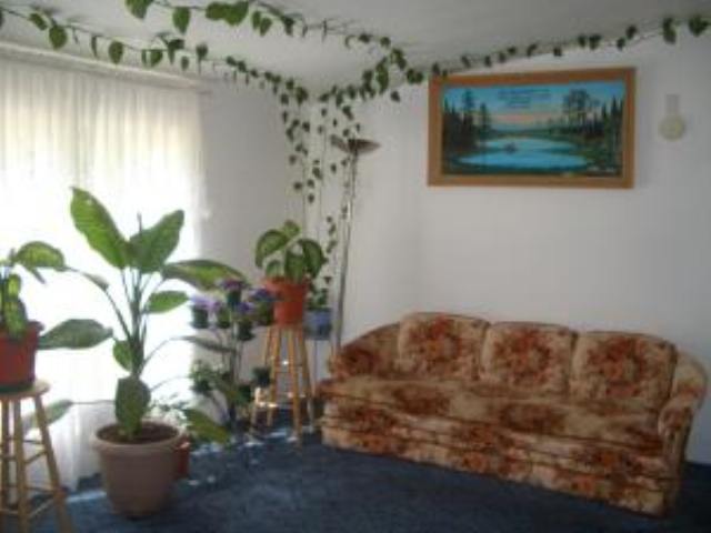 1226 F Williams Lake Road Evans, WA 99126 - Photo 3 of 9