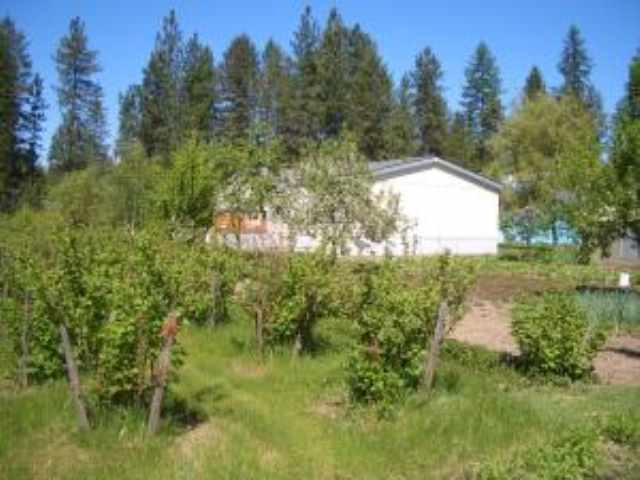 1226 F Williams Lake Road Evans, WA 99126 - Photo 8 of 9