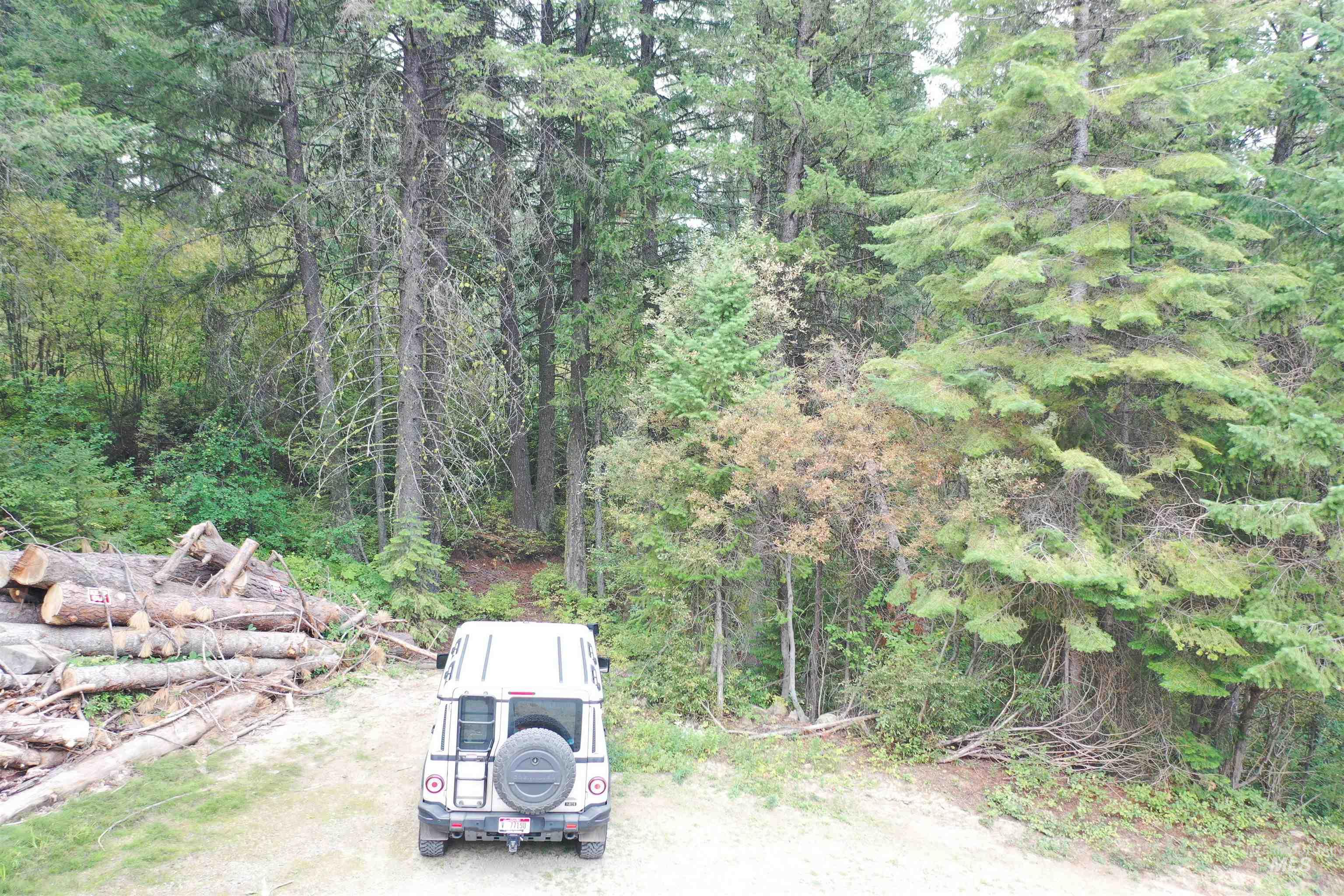 515 Collier View Road Cascade, ID 83611 - Photo 4 of 11 View of dirt / gravel road