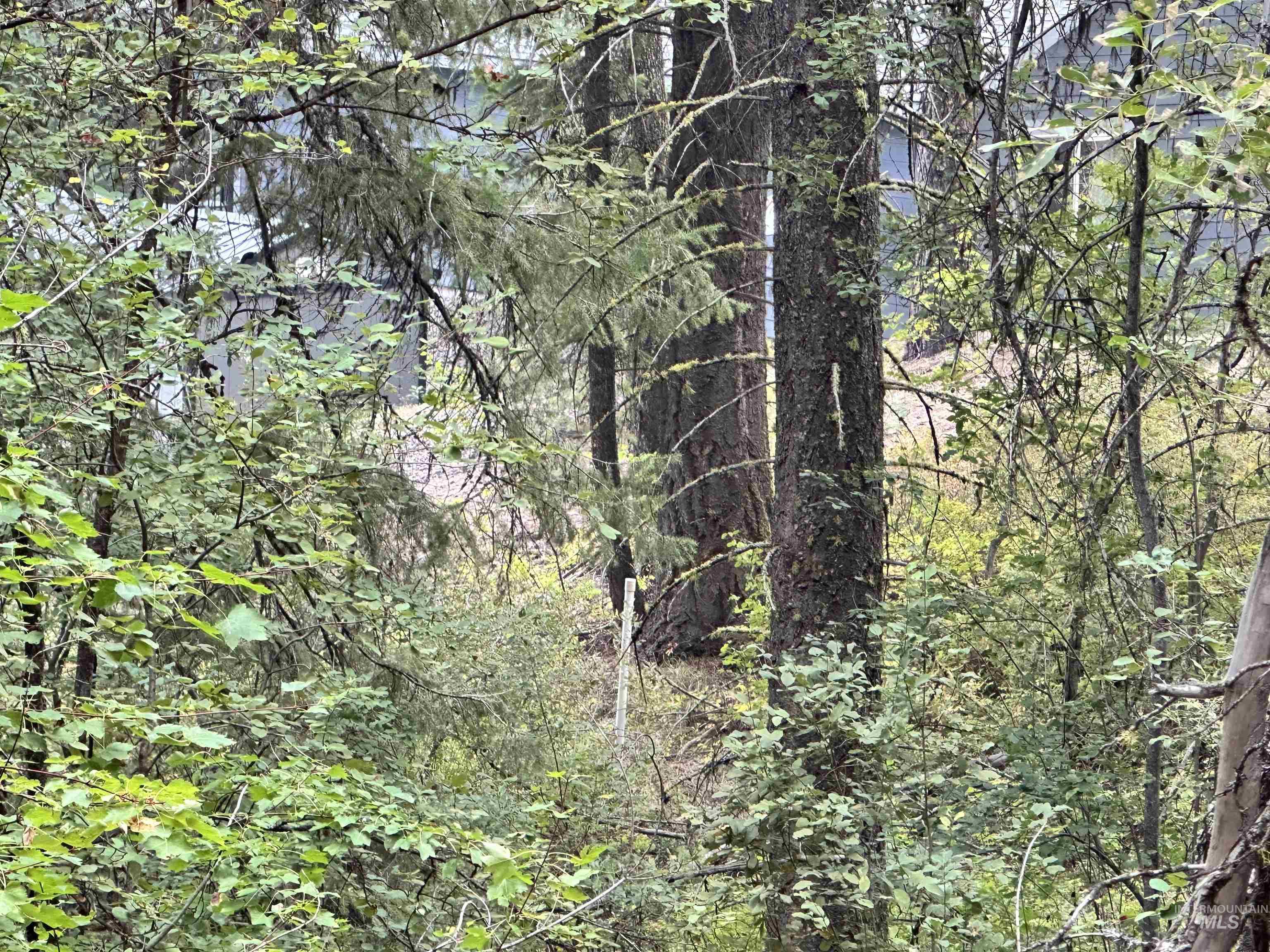 515 Collier View Road Cascade, ID 83611 - Photo 7 of 11 perc pipe location on the north side of the trail on the property