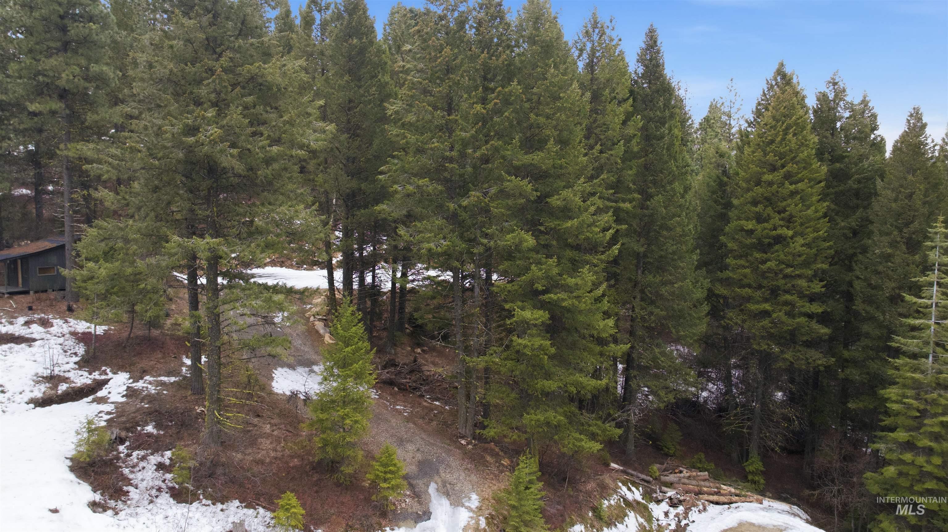 515 Collier View Road Cascade, ID 83611 - Photo 10 of 11