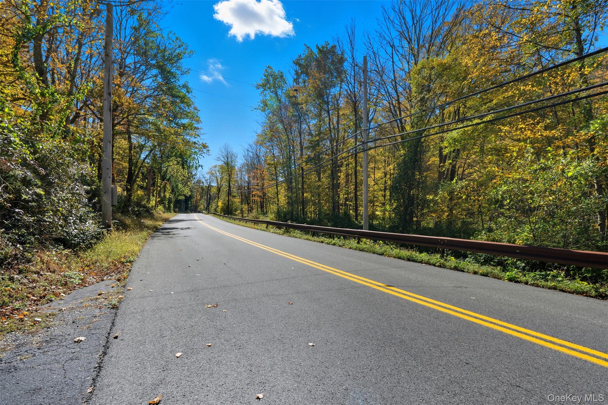 Wiccopee Road Putnam Valley, NY 10579 - Photo 15 of 16 View of asphalt road featuring a view of trees