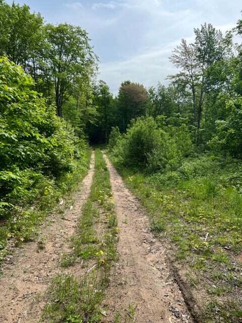 14770 North Maple Block Road Paradise, MI 49768 - Photo 3 of 20 Gallery Image 3