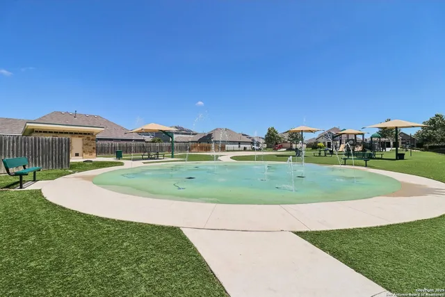 a view of a park with large trees
