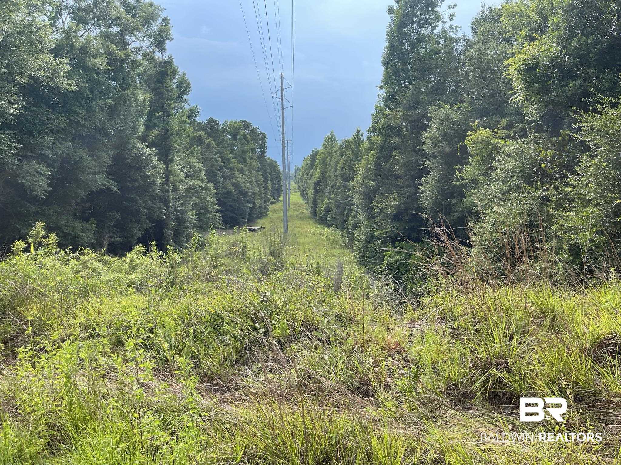 1 Highway 4 Jay, FL 32565 - Photo 33 of 50