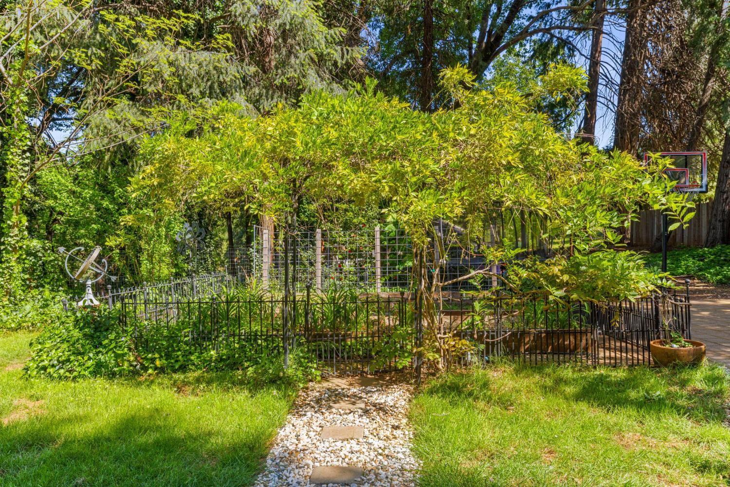 2812 Crystal Springs Road Camino, CA 95709 - Photo 26 of 28 a view of yard with green space