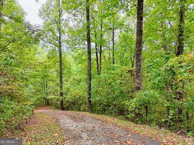 Lot 1 Skyview Drive Hayesville, NC 28904 - Photo 4 of 12 a view of a yard with plants and trees