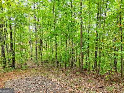 Lot 1 Skyview Drive Hayesville, NC 28904 - Photo 5 of 12 a view of outdoor space and trees