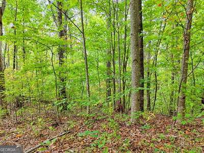 Lot 1 Skyview Drive Hayesville, NC 28904 - Photo 6 of 12 a view of a garden