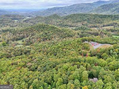Lot 1 Skyview Drive Hayesville, NC 28904 - Photo 7 of 12 a view of a lush green field with lots of plants in it
