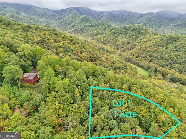 a view of a lush green field with a tree in the background
