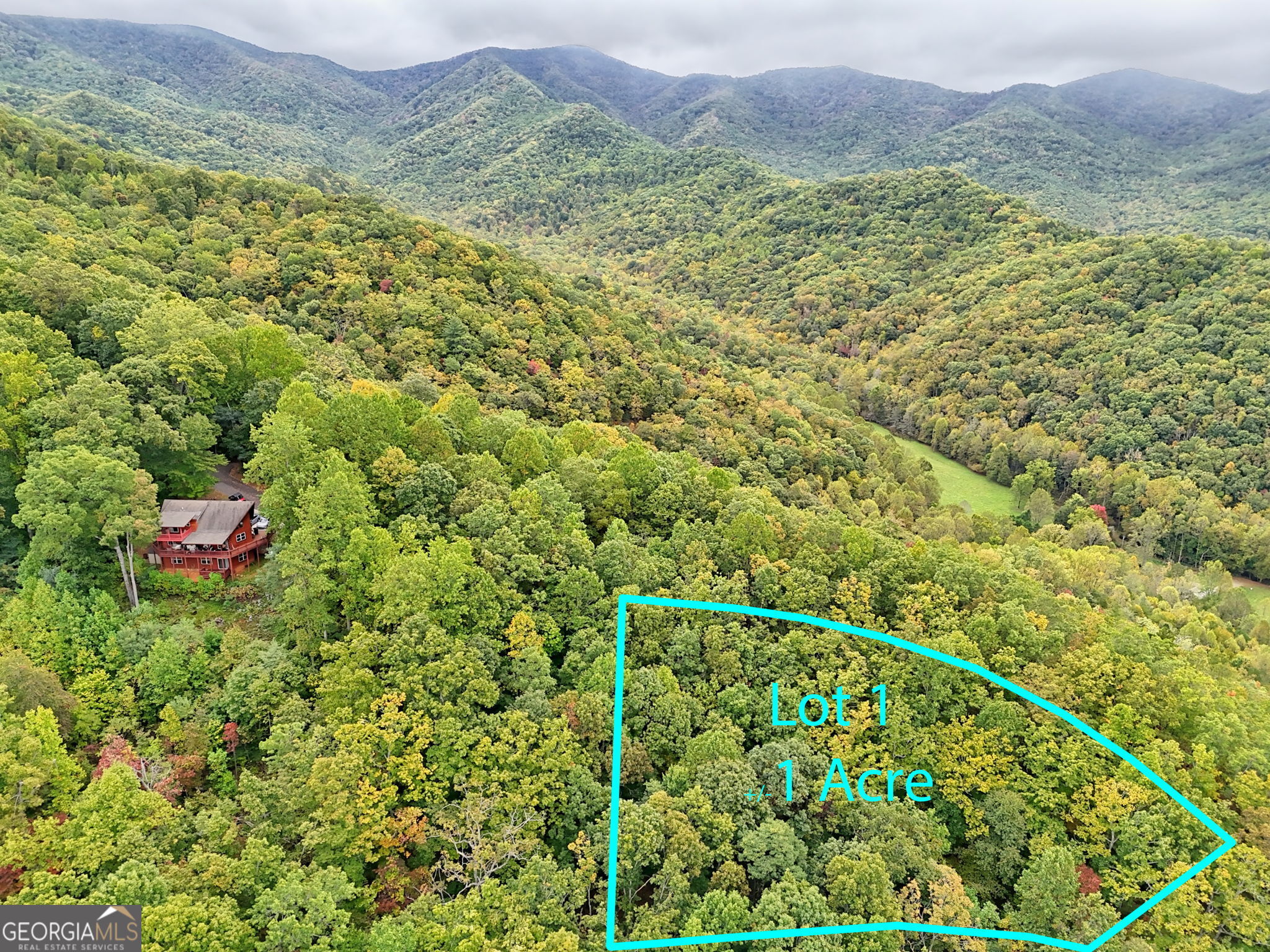 Lot 1 Skyview Drive Hayesville, NC 28904 - Photo 8 of 12 a view of a lush green field with a mountain in the background