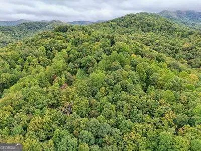 a view of a garden with pathway