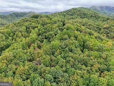 Lot 1 Skyview Drive Hayesville, NC 28904 - Photo 10 of 12 a view of a green field with lots of bushes
