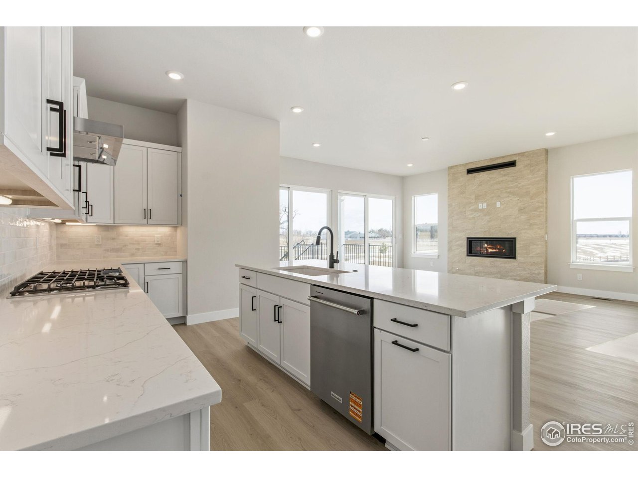 1296 Weller Street Timnath, CO 80547 - Photo 12 of 30