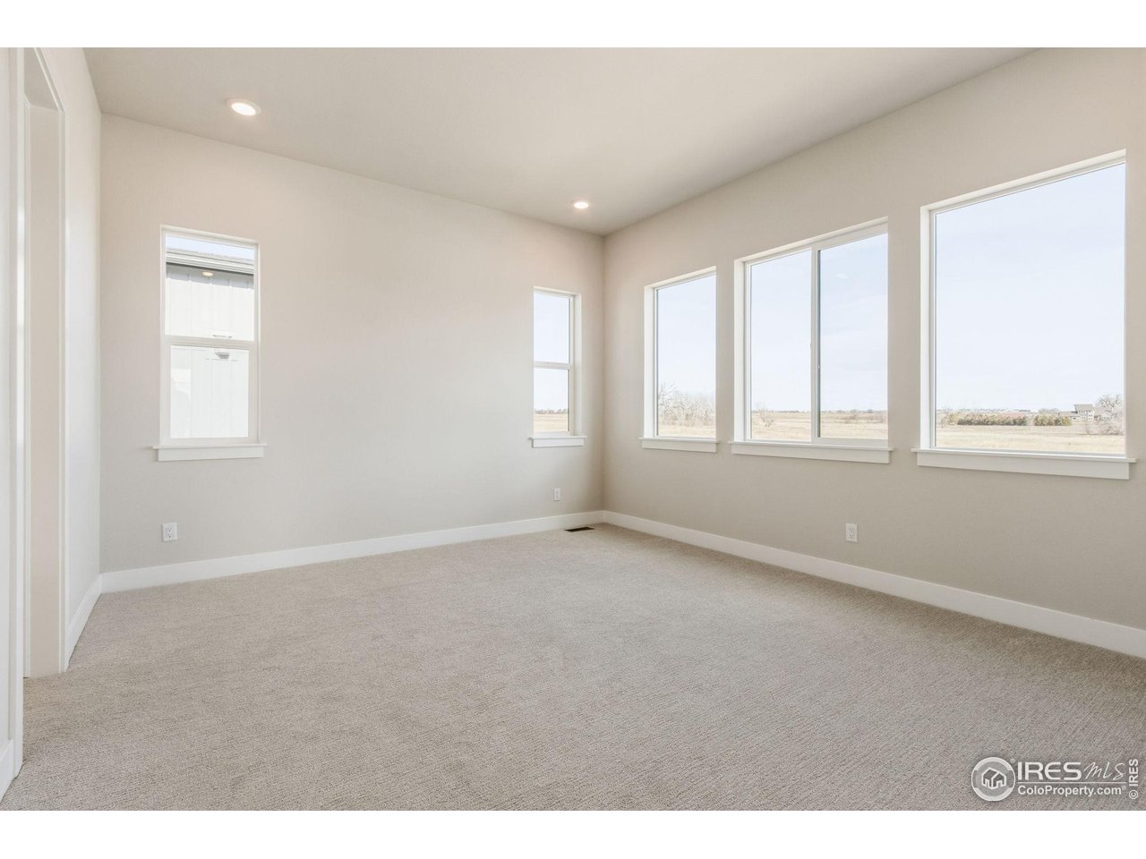 1296 Weller Street Timnath, CO 80547 - Photo 14 of 30