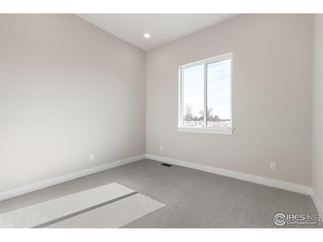 1296 Weller Street Timnath, CO 80547 - Photo 20 of 30