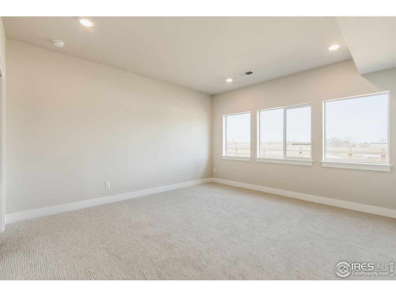 1296 Weller Street Timnath, CO 80547 - Photo 25 of 30