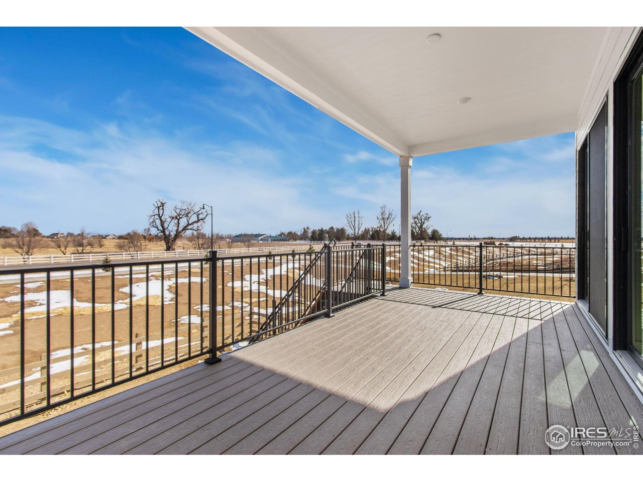 1296 Weller Street Timnath, CO 80547 - Photo 29 of 30