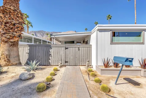 a kitchen with a sink and a potted plant