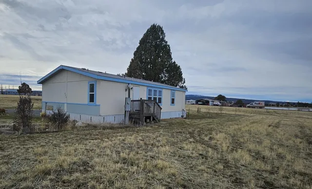 a view of a house with backyard and trees