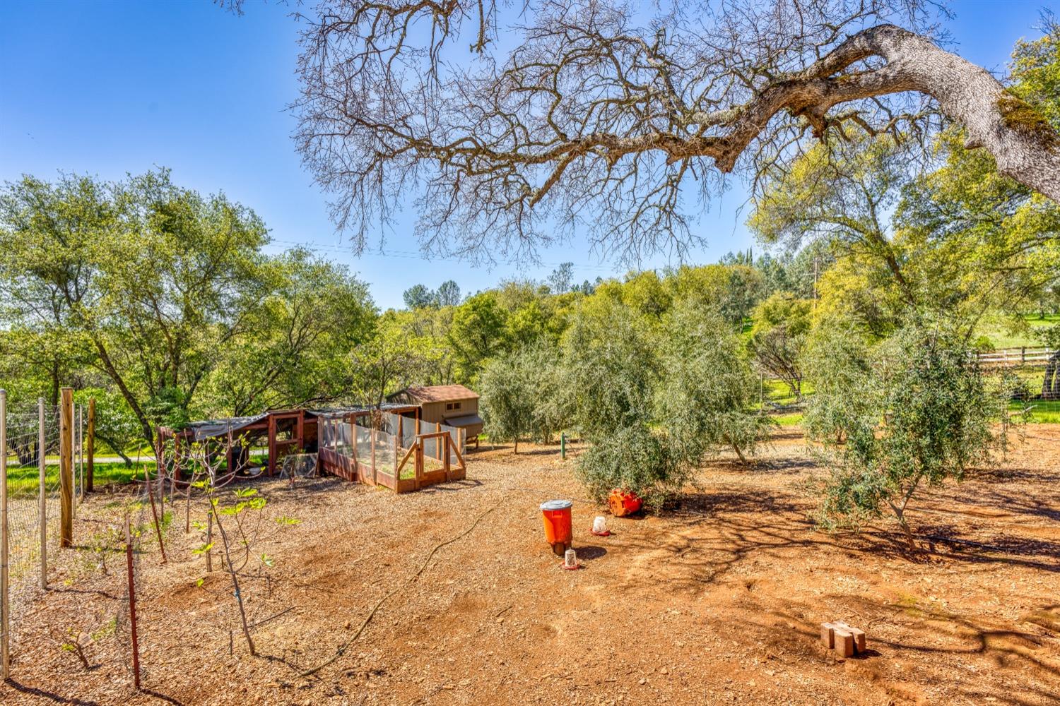 5161 Coyote Pass Road Shingle Springs, CA 95682 - Photo 42 of 48