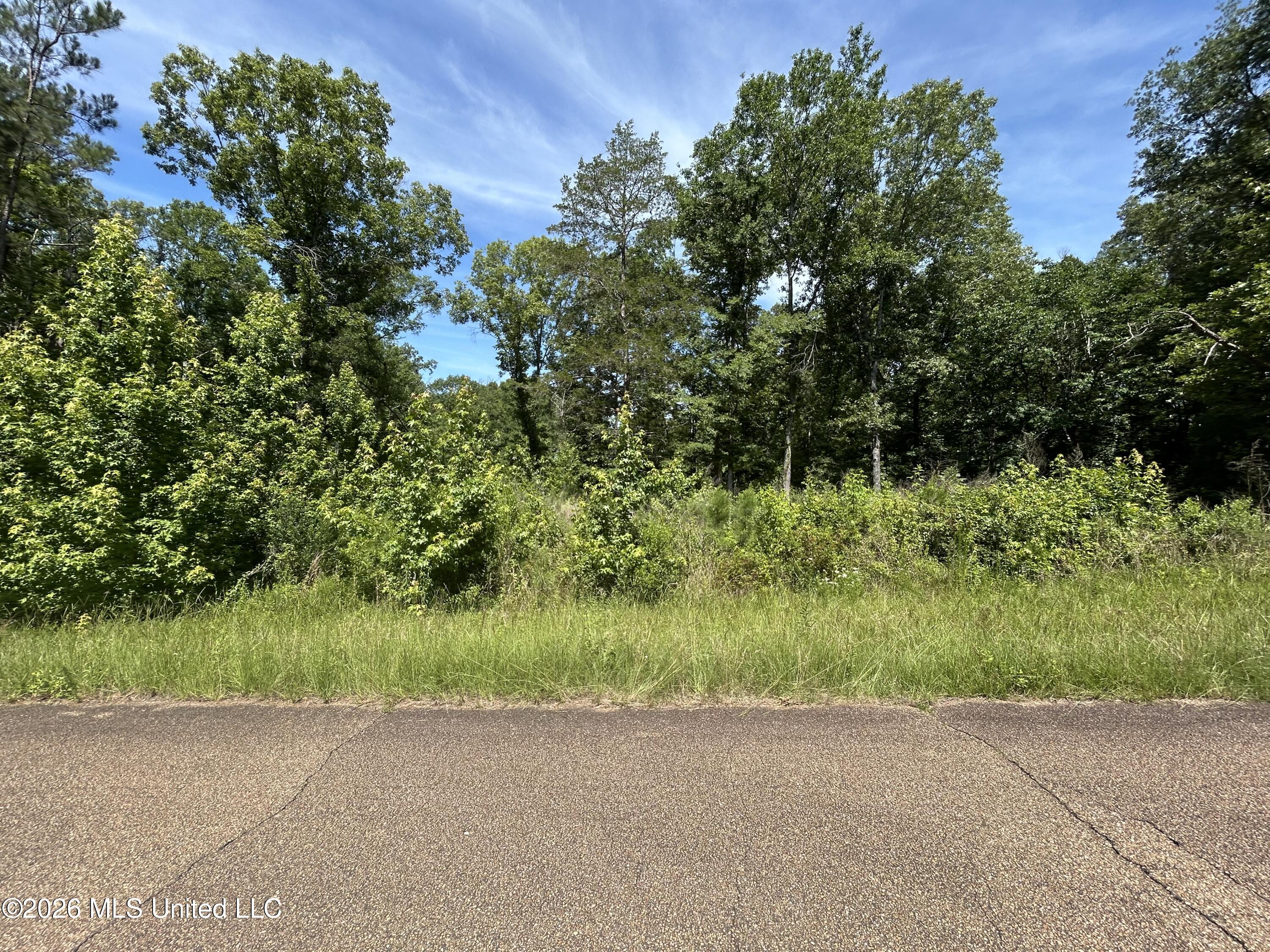 Sleepy Hollow Road Terry, MS 39170 - Photo 2 of 11 IMG_2042