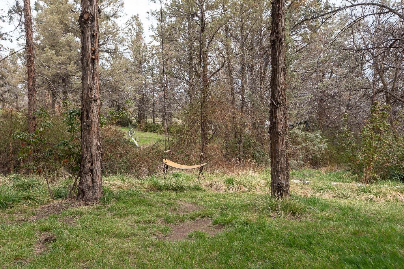 905 Southwest Burns Lane Madras, OR 97741 - Photo 41 of 46 Watch the deer stroll through your yard regularly