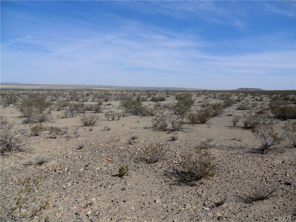 0 Fairlane Road Helendale, CA 92342 - Photo 1 of 1 a view of a dry yard with trees