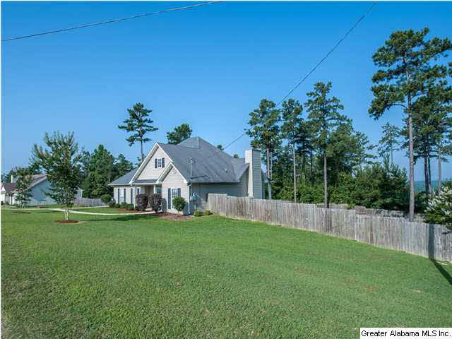 1036 Sunset Way Odenville, AL 35120 - Photo 26 of 27