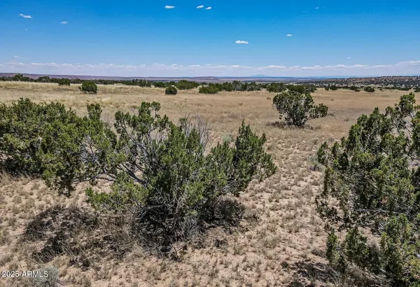 $13,947 | 19 County Road, St. Johns, AZ 85936