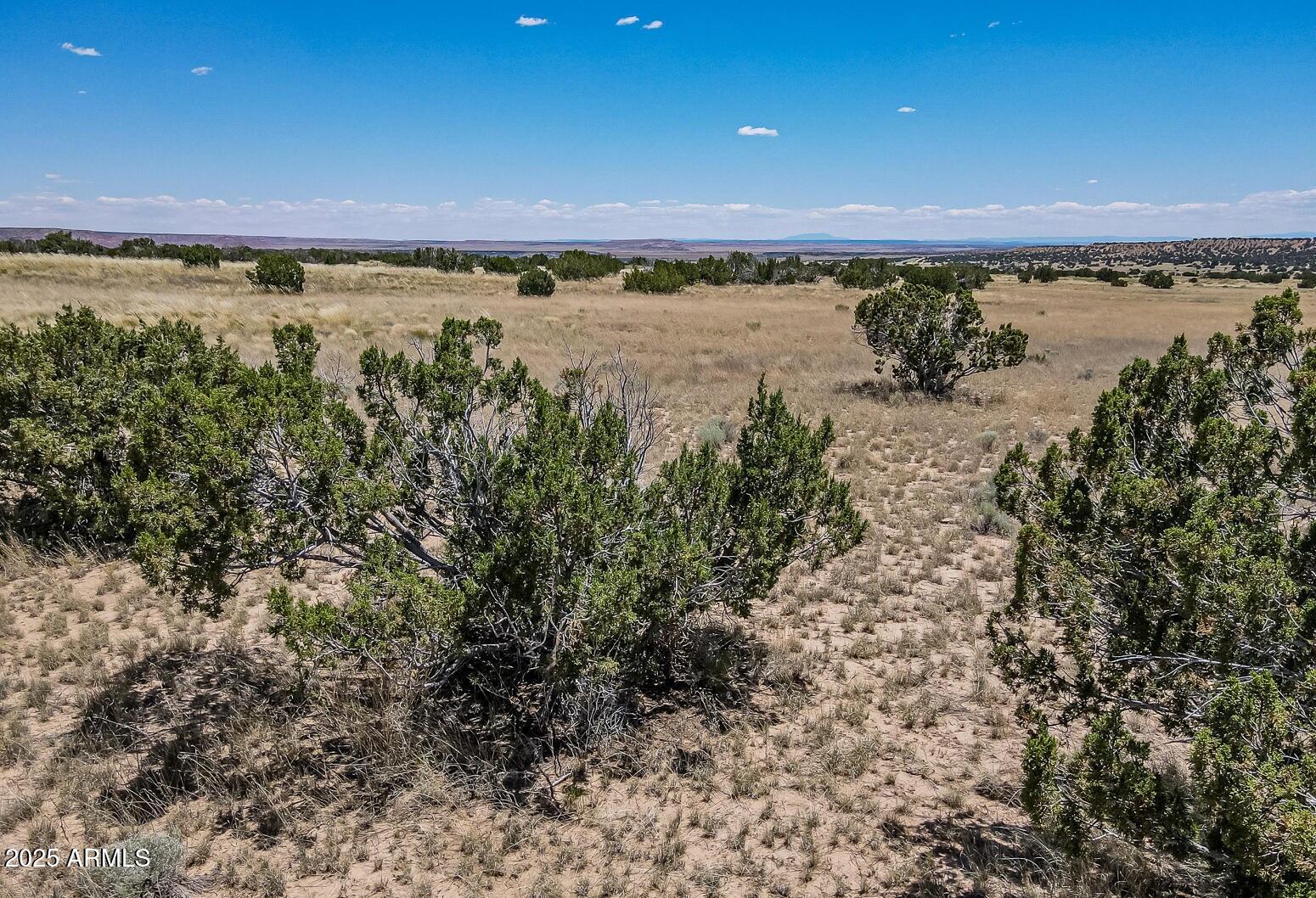 19 County Road St. Johns, AZ 85936 - Photo 4 of 9 19 County Rd N7150