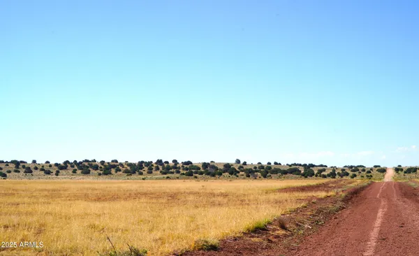 $13,947 | 19 County Road, St. Johns, AZ 85936