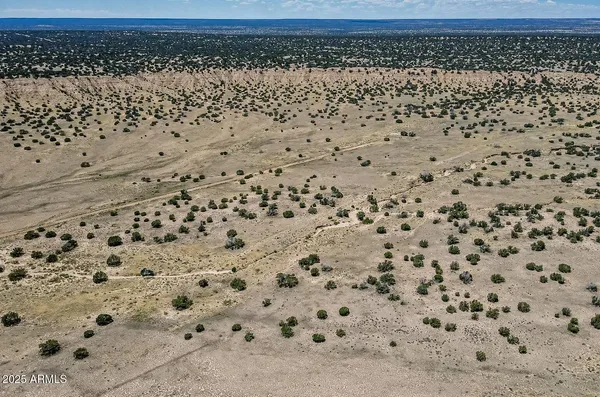 $13,947 | 19 County Road, St. Johns, AZ 85936