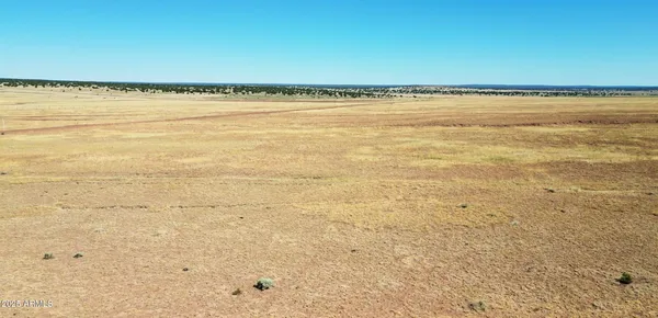 $13,947 | 19 County Road, St. Johns, AZ 85936