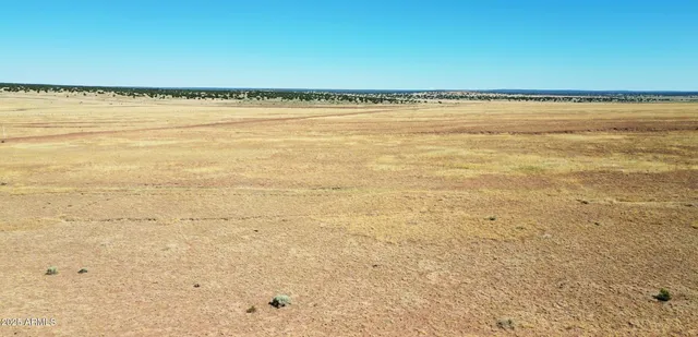 $13,947 | 19 County Road, St. Johns, AZ 85936